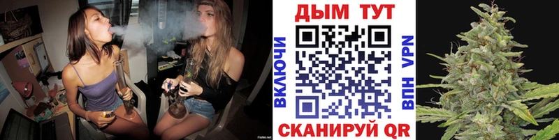 Codein Щёкино
