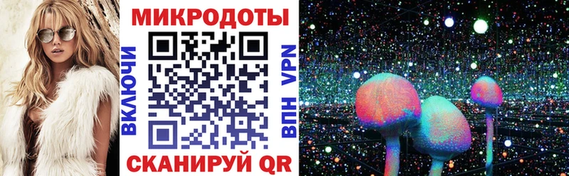 закладки  Щёкино  Псилоцибиновые грибы мицелий 